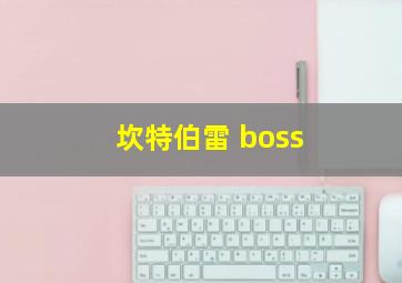 坎特伯雷 boss